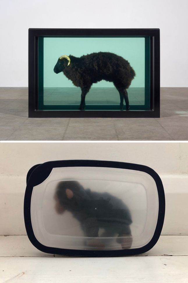 J and Hirst 3_sm